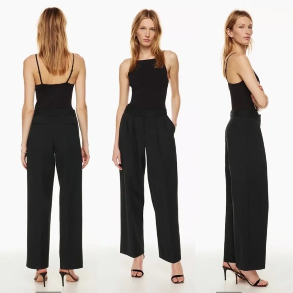Aritzia Babaton Revue Wide Leg Pleated Black Trousers